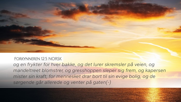 Forkynneren 12:5 NORSK Bible Verse Image