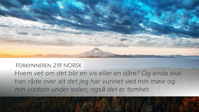 Forkynneren 2:19 NORSK Desktop Wallpaper - Hvem vet om det blir en vis eller en dåre? Og - Desktop Bible Verse Wallpaper