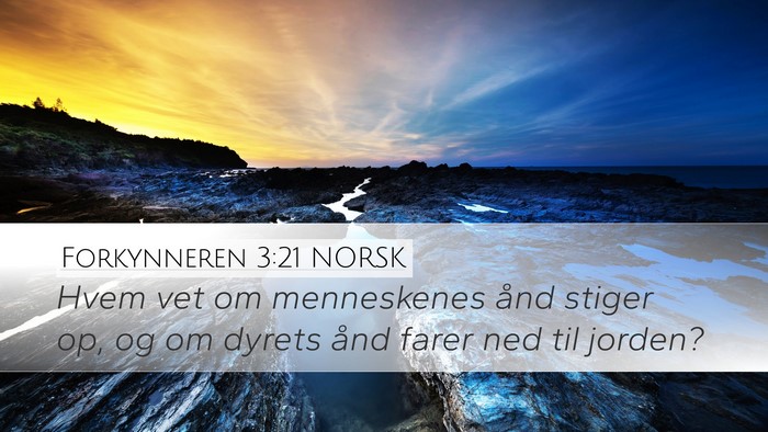Forkynneren 3:21 NORSK Bible Verse Image