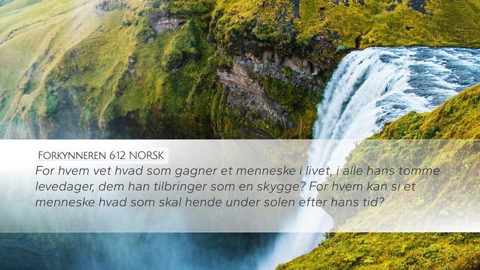 Forkynneren 6:12 NORSK Bible Verse Image