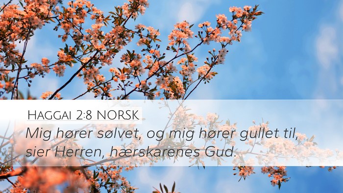 Haggai 2:8 NORSK Bible Verse Image