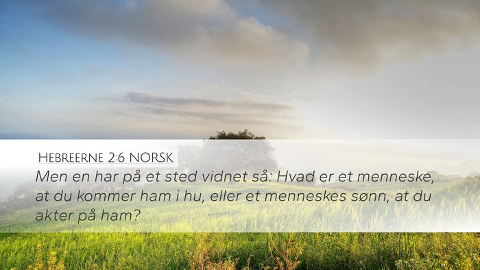 Hebreerne 2:6 NORSK Bible Verse Image