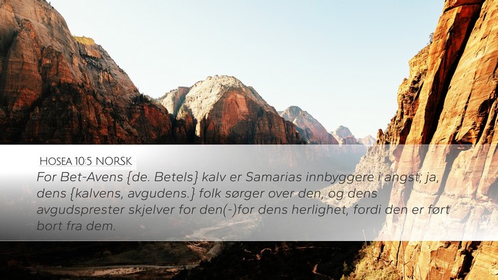 Hosea 10:5 NORSK Bible Verse Image