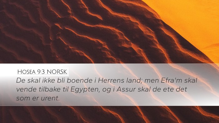 Hosea 9:3 NORSK Bible Verse Image