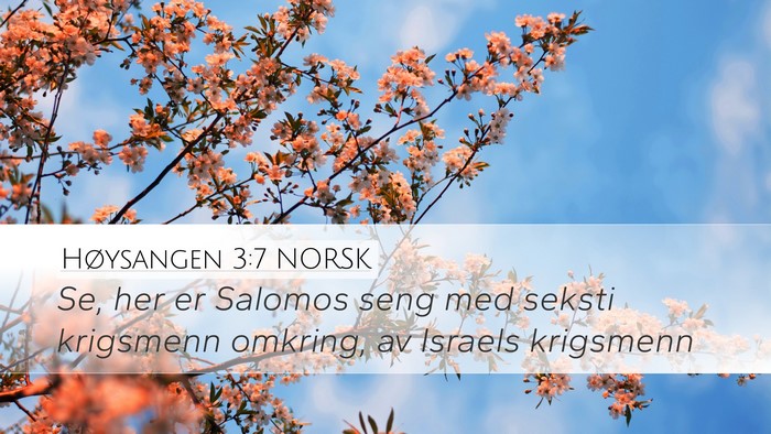 Høysangen 3:7 NORSK Bible Verse Image