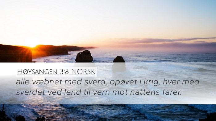Høysangen 3:8 NORSK Desktop Wallpaper - alle væbnet med sverd, opøvet i krig, hver med - Desktop Bible Verse Wallpaper