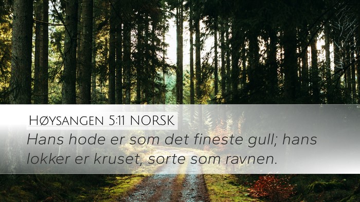 Høysangen 5:11 NORSK Bible Verse Image