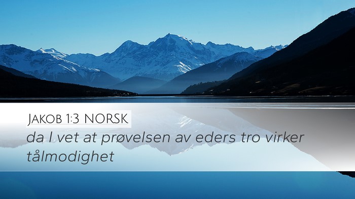 Jakob 1:3 NORSK Bible Verse Image