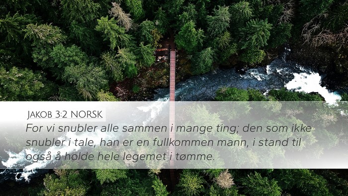 Jakob 3:2 NORSK Bible Verse Image