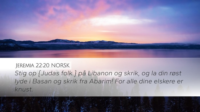 Jeremia 22:20 NORSK Bible Verse Image