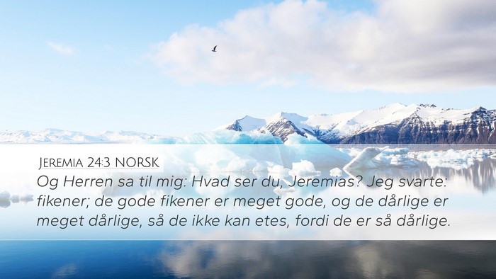 Jeremia 24:3 NORSK Bible Verse Image
