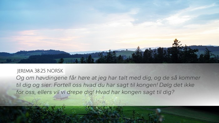 Jeremia 38:25 NORSK Bible Verse Image