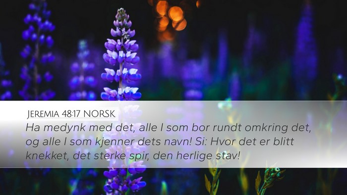 Jeremia 48:17 NORSK Bible Verse Image