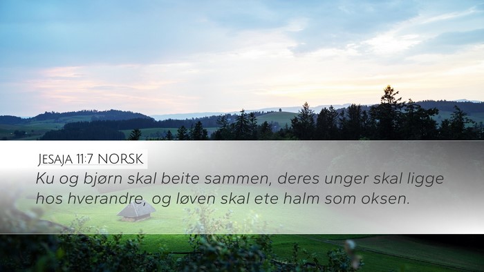 Jesaja 11:7 NORSK Desktop Wallpaper - Ku og bjørn skal beite sammen, deres unger skal - Desktop Bible Verse Wallpaper