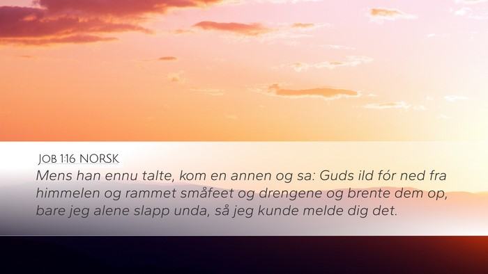 Job 1:16 NORSK Bible Verse Image