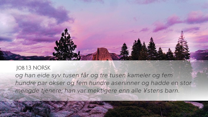 Job 1:3 NORSK Bible Verse Image