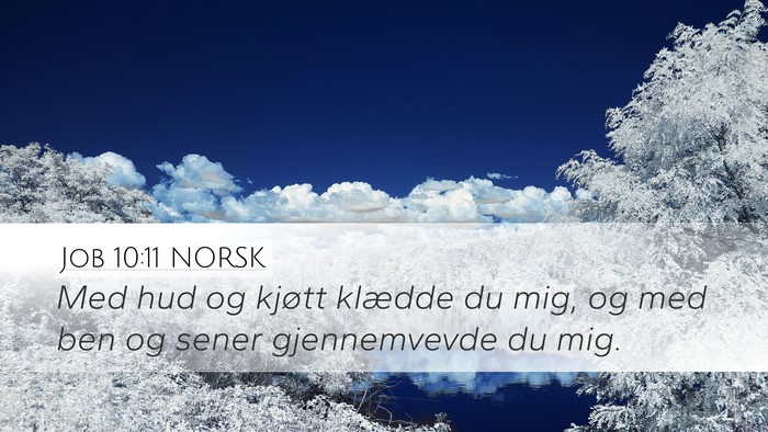 Job 10:11 NORSK Desktop Wallpaper - Med hud og kjøtt klædde du mig, og med ben og - Desktop Bible Verse Wallpaper