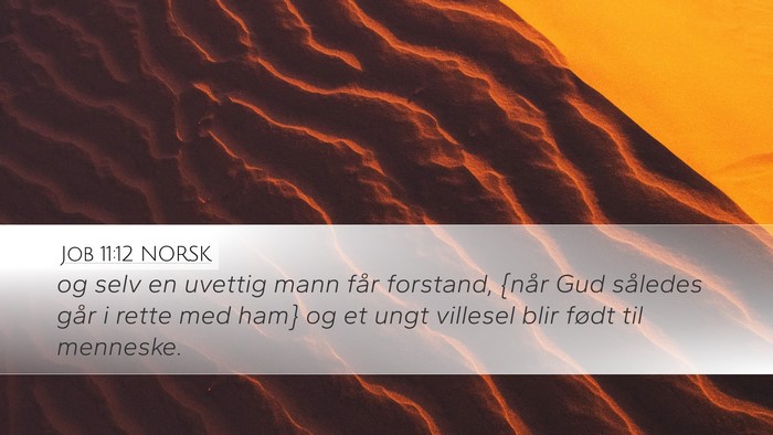 Job 11:12 NORSK Bible Verse Image