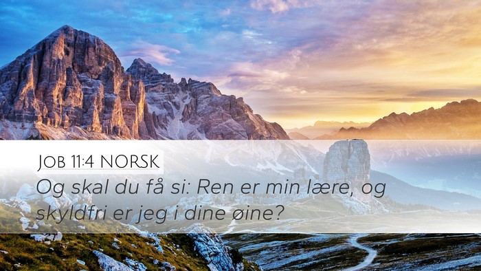 Job 11:4 NORSK Bible Verse Image