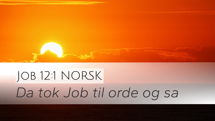 Job 12:1 NORSK Desktop Wallpaper - Da tok Job til orde og - Desktop Bible Verse Wallpaper