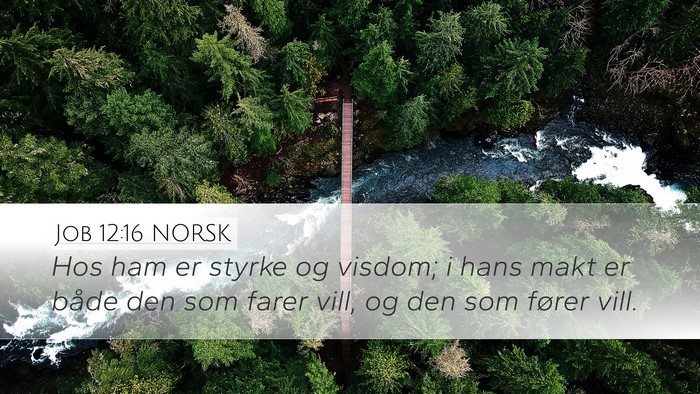 Job 12:16 NORSK Bible Verse Image