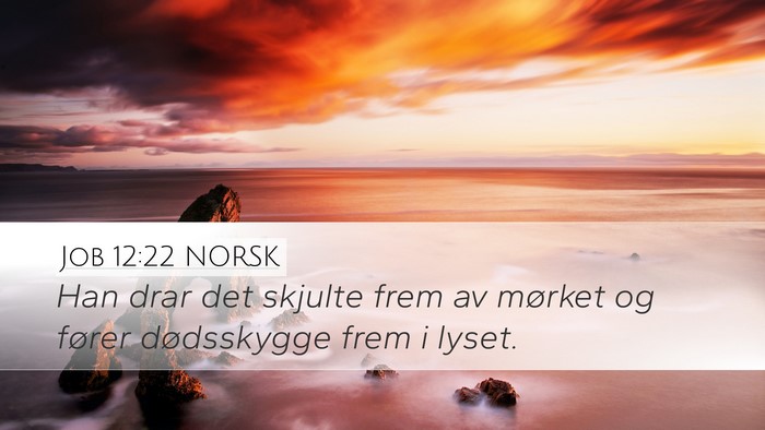Job 12:22 NORSK Bible Verse Image