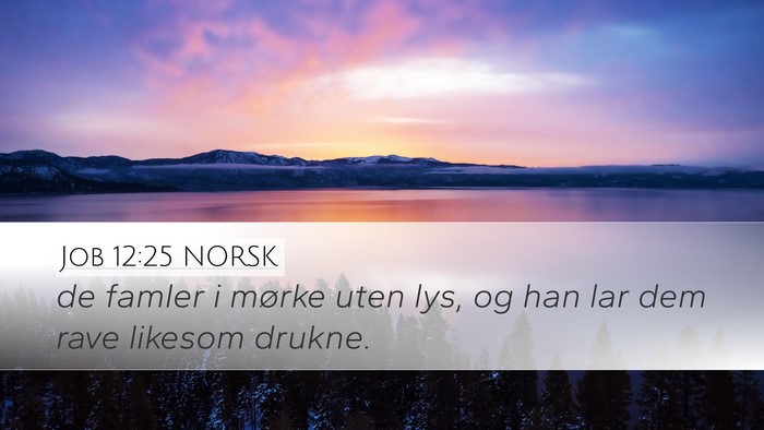 Job 12:25 NORSK Bible Verse Image