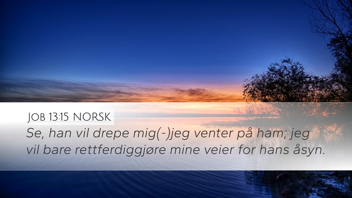 Job 13:15 NORSK Bible Verse Image