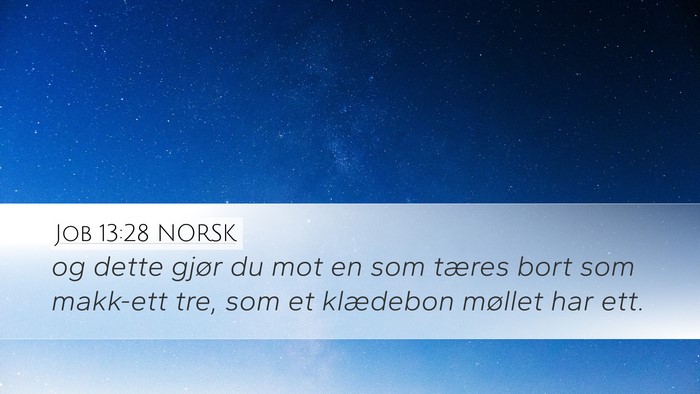 Job 13:28 NORSK Bible Verse Image
