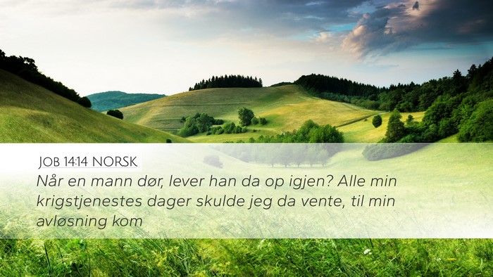 Job 14:14 NORSK Bible Verse Image