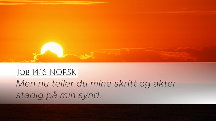 Job 14:16 NORSK Bible Verse Image