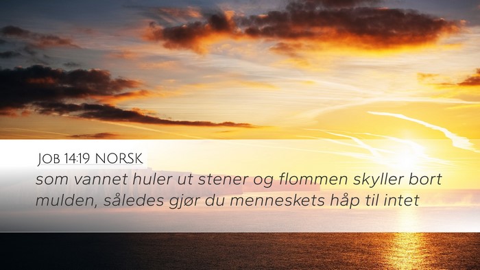 Job 14:19 NORSK Bible Verse Image
