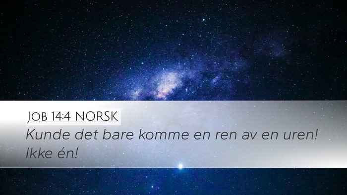 Job 14:4 NORSK Bible Verse Image