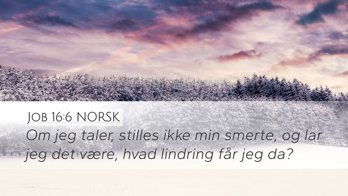 Job 16:6 NORSK Desktop Wallpaper - Om jeg taler, stilles ikke min smerte, og lar jeg - Desktop Bible Verse Wallpaper