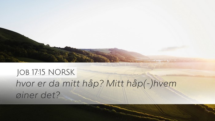 Job 17:15 NORSK Desktop Wallpaper - hvor er da mitt håp? Mitt håp(-)hvem øiner - Desktop Bible Verse Wallpaper