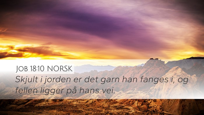 Job 18:10 NORSK Desktop Wallpaper - Skjult i jorden er det garn han fanges i, og - Desktop Bible Verse Wallpaper