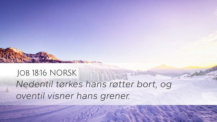 Job 18:16 NORSK Bible Verse Image