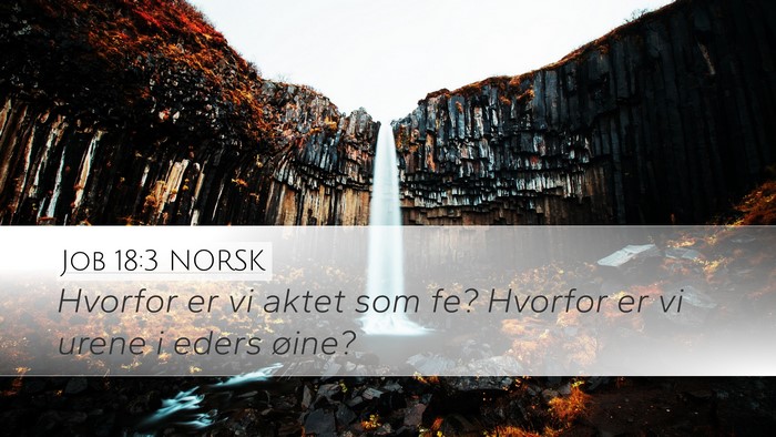 Job 18:3 NORSK Bible Verse Image