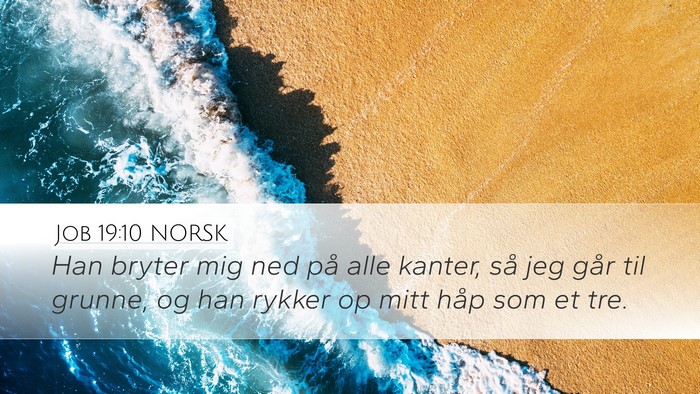 Job 19:10 NORSK Bible Verse Image