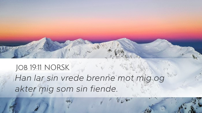 Job 19:11 NORSK Bible Verse Image
