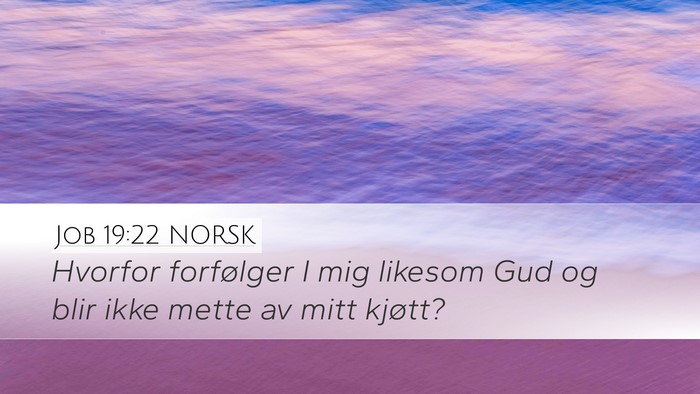 Job 19:22 NORSK Bible Verse Image