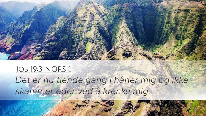 Job 19:3 NORSK Bible Verse Image