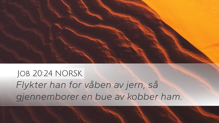 Job 20:24 NORSK Bible Verse Image