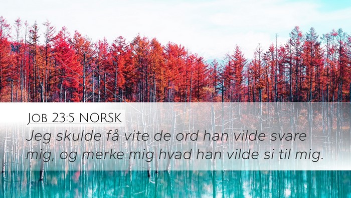 Job 23:5 NORSK Bible Verse Image