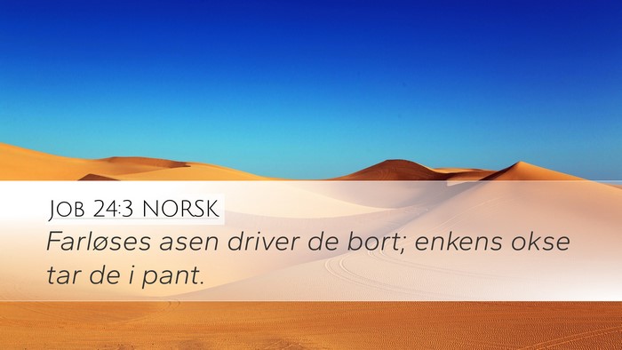 Job 24:3 NORSK Bible Verse Image