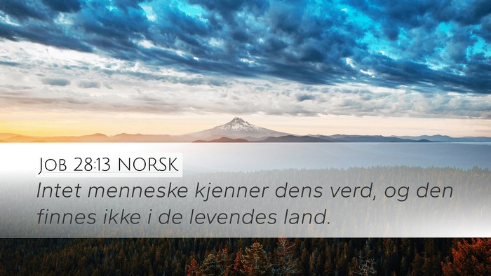 Job 28:13 NORSK Bible Verse Image