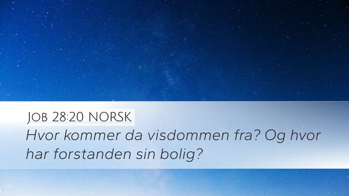 Job 28:20 NORSK Bible Verse Image