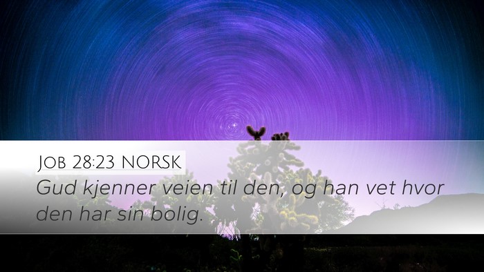 Job 28:23 NORSK Bible Verse Image