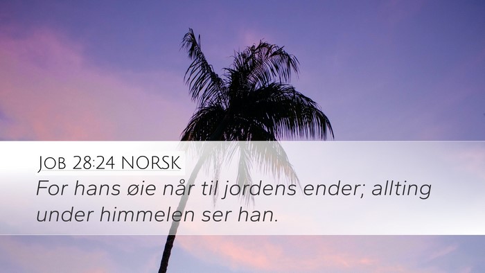 Job 28:24 NORSK Bible Verse Image