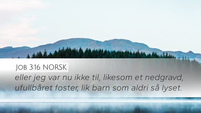 Job 3:16 NORSK Bible Verse Image